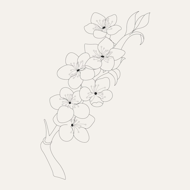 Vecteur gratuit contour de fleur simple dessiné à la main