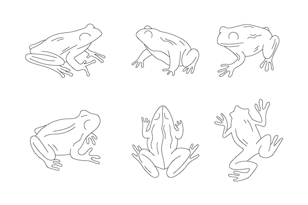 Vecteur gratuit contour de grenouille dessiné à la main