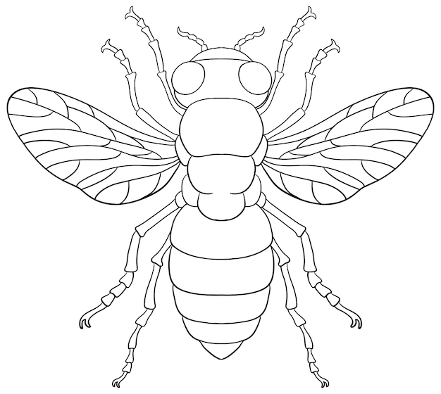 Vecteur gratuit contour d'insecte abeille à colorier