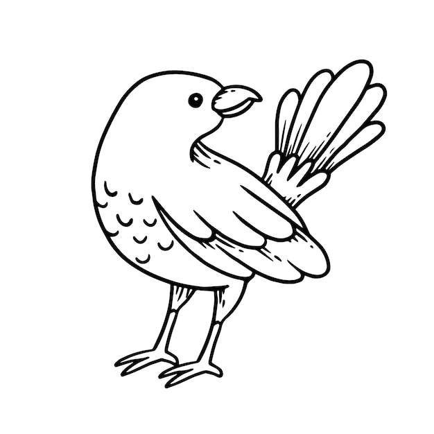 Contour d'oiseau dessiné à la main