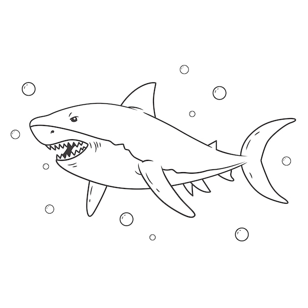 Contour De Requin Dessiné à La Main