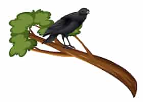 Vecteur gratuit corbeau debout sur une branche d'arbre