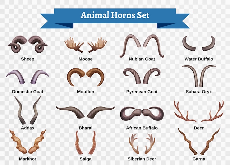 Vecteur gratuit cornes horizontales transparentes définies avec des images isolées de style doodle d'animaux horning avec illustration de légendes de texte modifiable