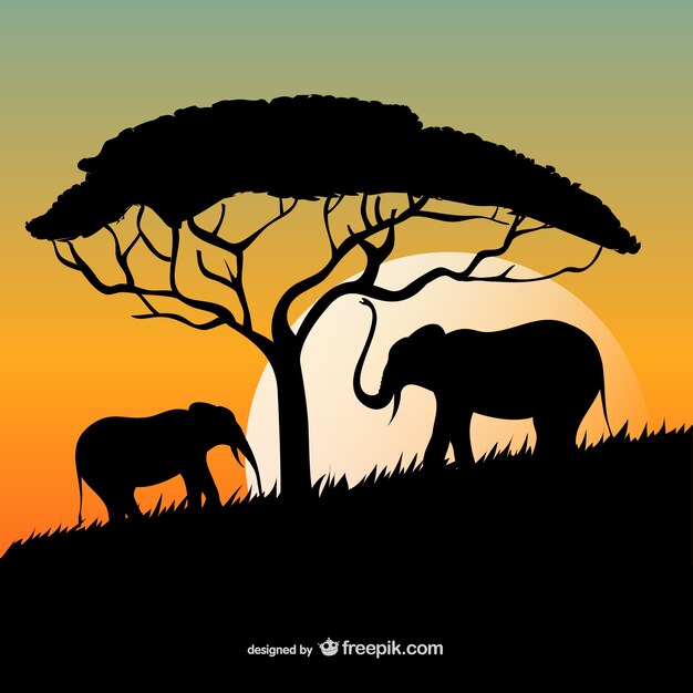 Coucher de soleil africain avec les éléphants et les silhouettes d&#39;arbres
