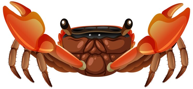Vecteur gratuit crabe racine de mangrove en style cartoon sur fond blanc