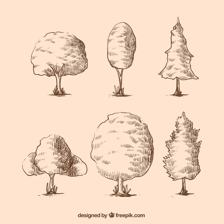 Vecteur gratuit croquis d'arbres pack