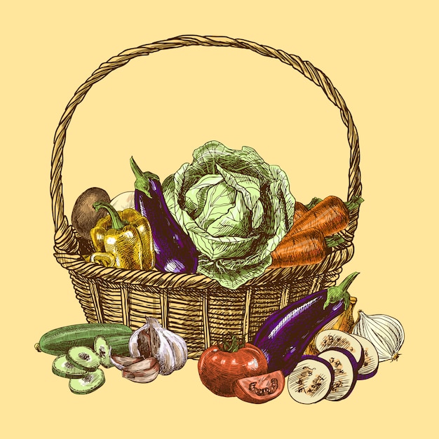 Croquis de légumes couleur