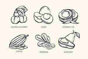 Vecteur gratuit croquis rétro de colelction de superaliments