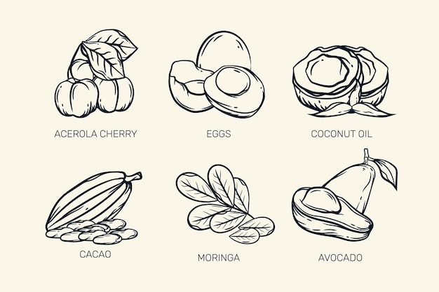 Croquis rétro de colelction de superaliments