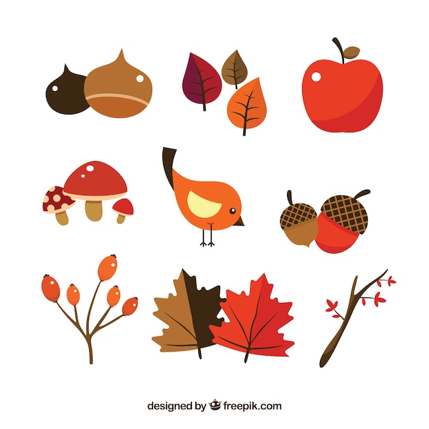 Vecteur gratuit cute autumn elements