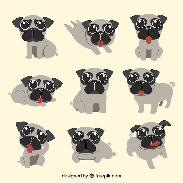 Vecteur gratuit cute pugs avec design plat