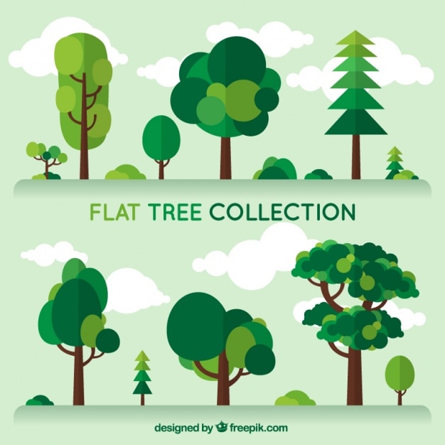 Vecteur gratuit définir des arbres de nature différente dans la conception plate
