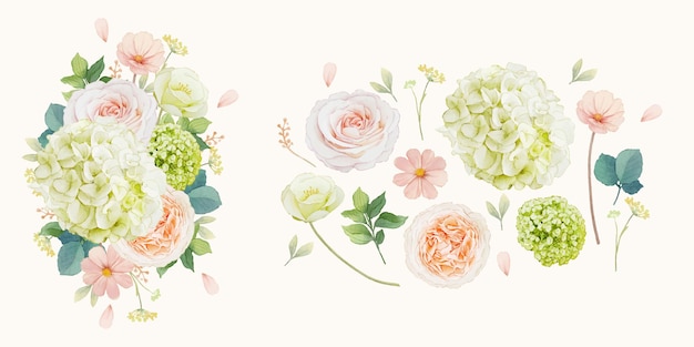 Vecteur gratuit définir des éléments d'aquarelle de roses pêche et de fleur d'hortensia