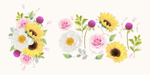 Définir des éléments aquarelles de roses roses et de tournesol