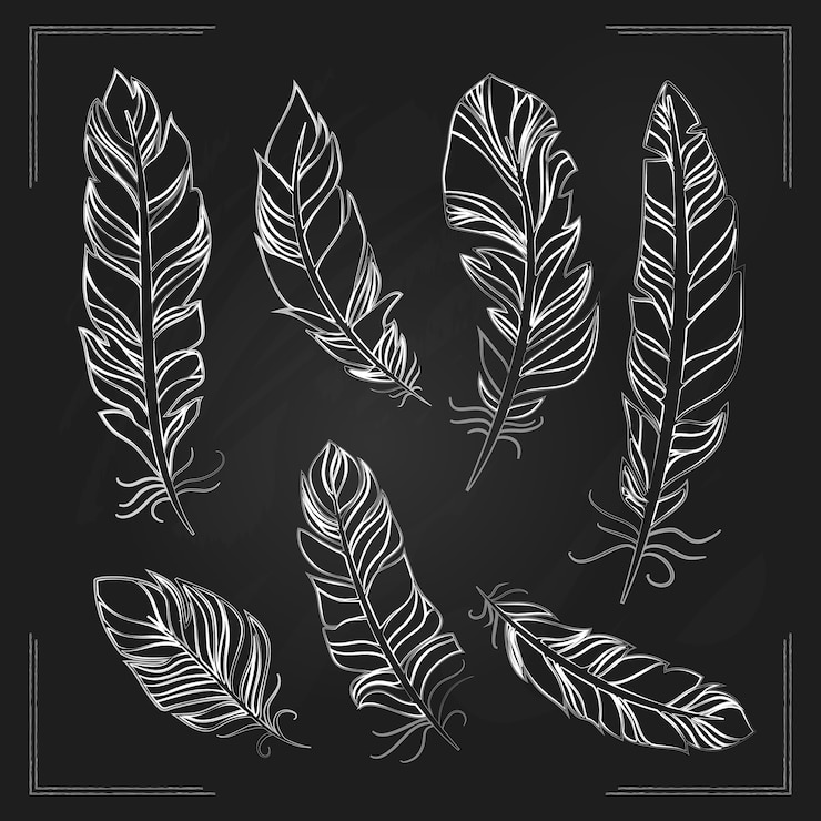 Vecteur gratuit délicates plumes d'oiseaux dessinés à la main avec de la craie sur un tableau noir dans un contour blanc montrant la structure de la girouette et des barbes plumeuses avec des bordures d'angle au format carré
