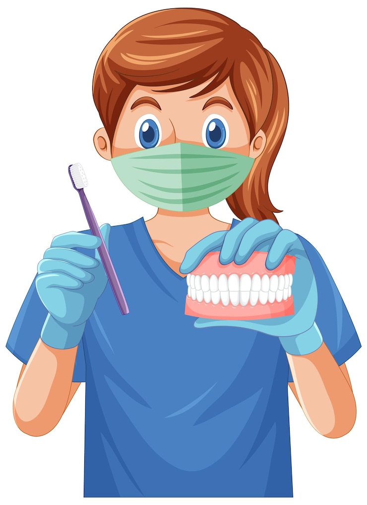 Vecteur gratuit dentiste tenant une brosse à dents et un modèle de dents humaines