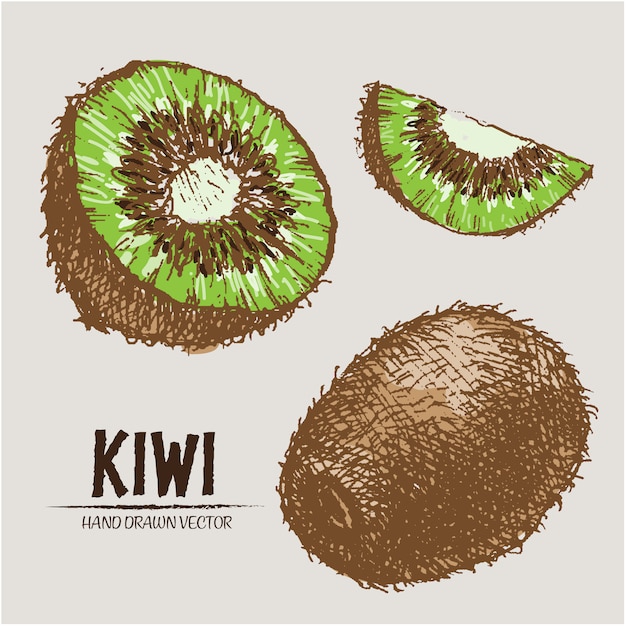 design kiwi dessiné à la main