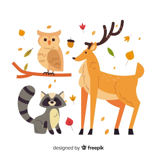 Design Plat Animaux De La Forêt D'automne