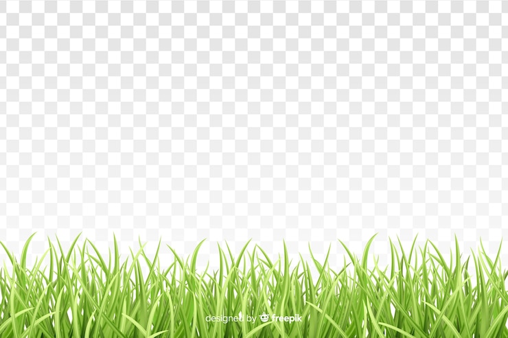 Vecteur gratuit designes réalistes de bordures d'herbe verte