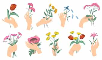 Vecteur gratuit dessin animé mains féminines tenant des bouquets de fleurs. ensemble de tulipes, œillets, jardin frais et fleurs des champs. illustrations vectorielles pour fleur, décoration romantique, concept de flore