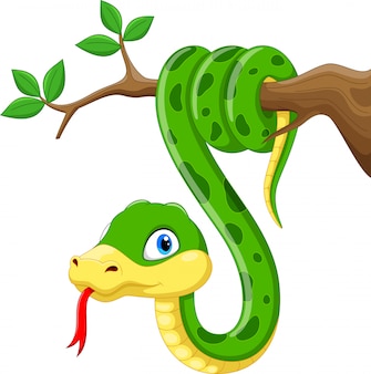 Dessin Anime Mignon Serpent Vert Sur Une Branche Vecteur Premium Dessin Anime Mignon Serpent Vert Sur Une Branche Vecteur Premium