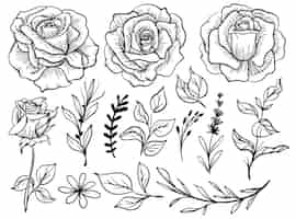 Vecteur gratuit dessin au trait fleur rose isolé avec clipart de feuille