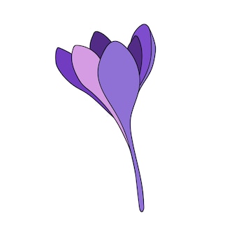 Dessin linéaire d'une seule fleur de safran de couleur crocus. illustration botanique par ligne