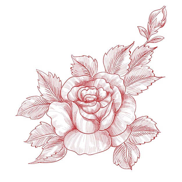 Dessin à la main et croquis design floral de roses