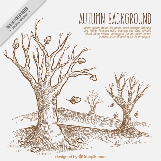 Vecteur gratuit dessin d'un paysage d'automne