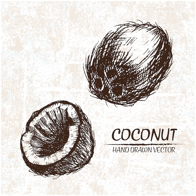 Vecteur gratuit dessinées à la main conception coconuts