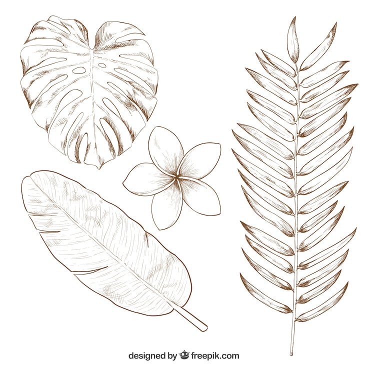 Vecteur gratuit dessinés à la main des feuilles tropicales