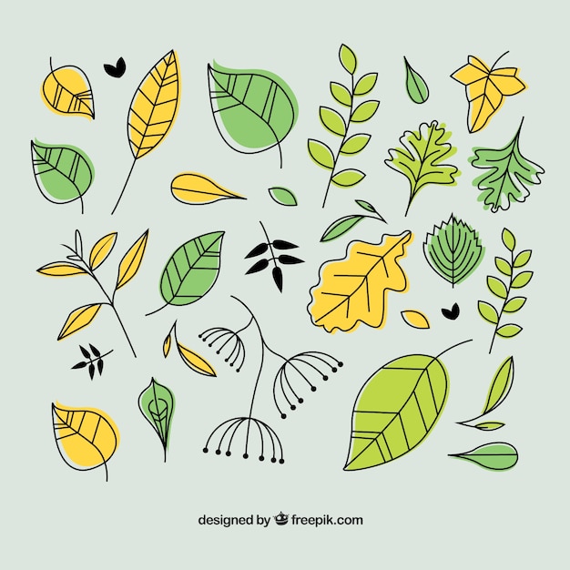 Feuille Simple Feuille Feuille Feuille Vert Illustration de Vecteur -  Illustration du mignon, floral: 243012416