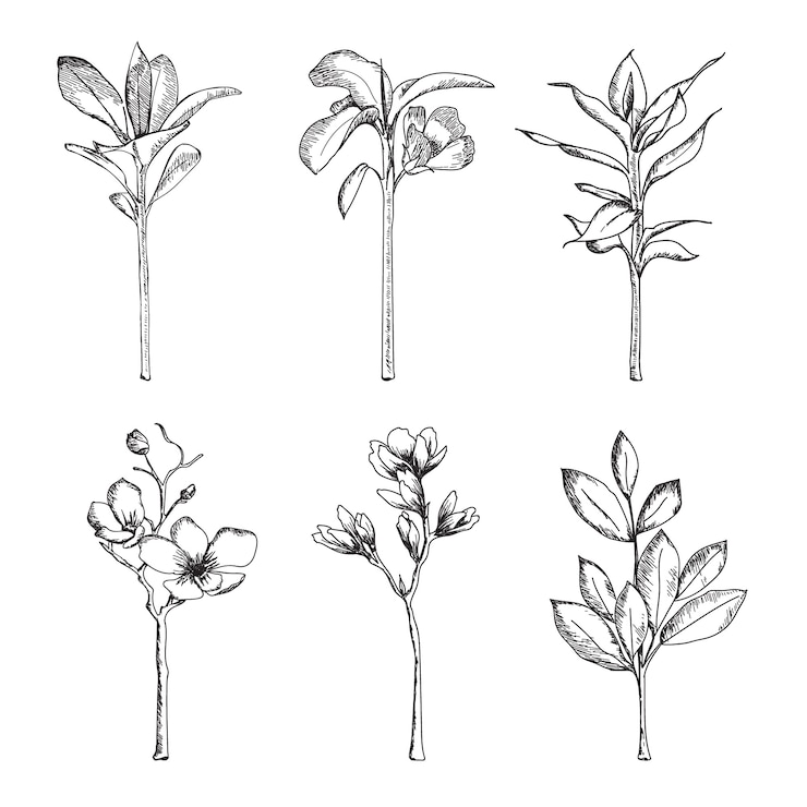 Vecteur gratuit dessinés à la main avec des herbes et des fleurs sauvages