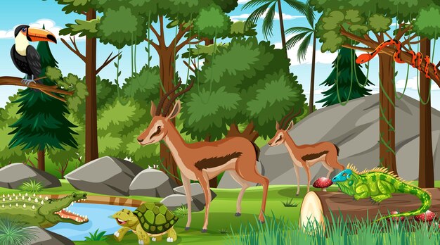 Deux Impala avec d'autres animaux sauvages en forêt à la scène de jour