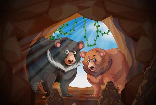 Deux ours dans une grotte