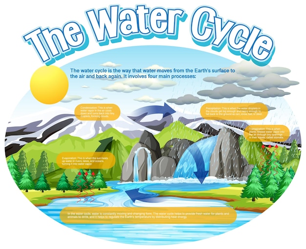 Vecteur gratuit le diagramme du cycle de l'eau pour l'enseignement des sciences