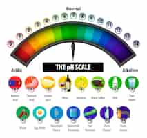 Vecteur gratuit le diagramme d'échelle de ph sur fond blanc