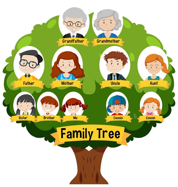 Diagramme montrant un arbre généalogique de trois générations