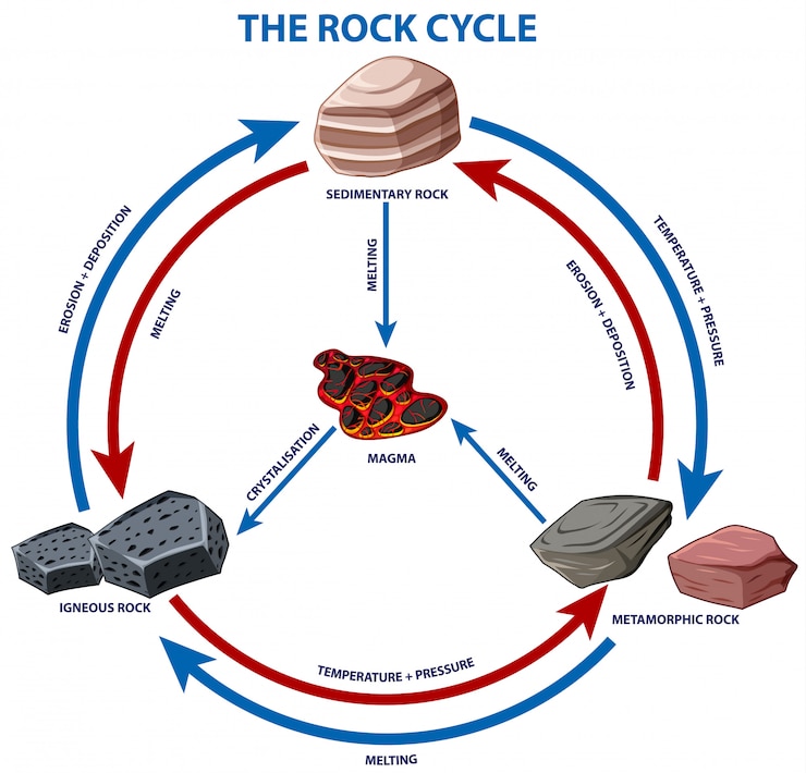 Vecteur gratuit diagramme montrant le cycle de la roche