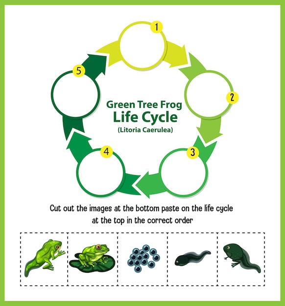 Vecteur gratuit diagramme montrant le cycle de vie de la grenouille