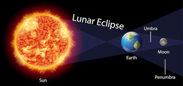 Vecteur gratuit diagramme montrant une éclipse lunaire avec la terre et le soleil