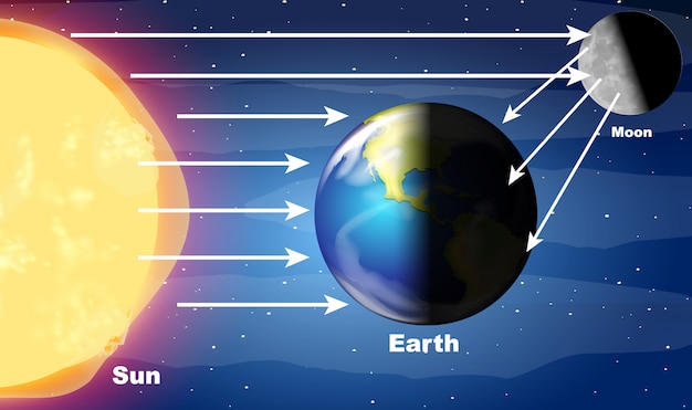 Vecteur gratuit diagramme montrant la lumière du soleil frappant la terre