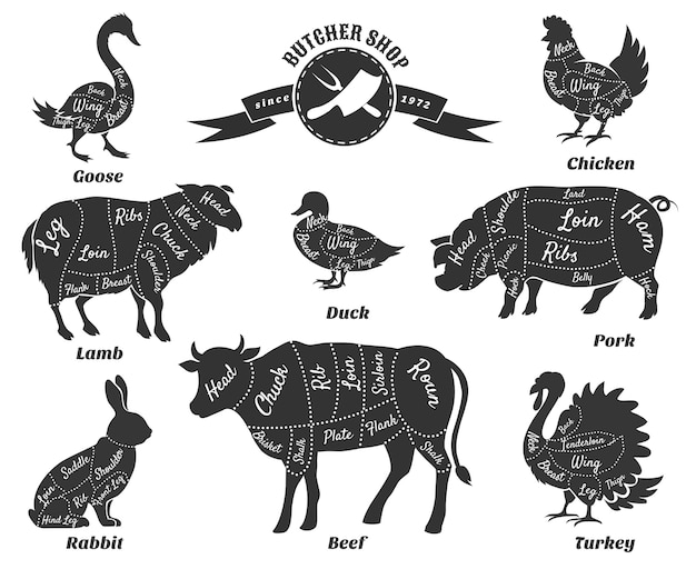 Diagrammes Pour Ensemble De Boucherie
