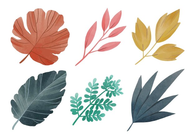 Différentes feuilles peintes à la main dans la collection aquarelle