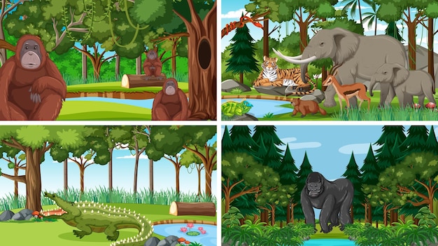 Différentes scènes de forêt avec des animaux sauvages