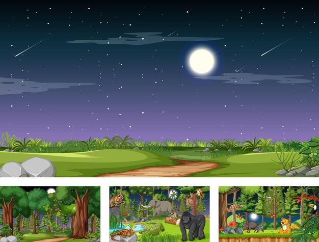 Différentes scènes naturelles de forêt et de forêt tropicale avec des animaux sauvages