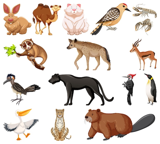 Vecteur gratuit différents types de collection d'animaux