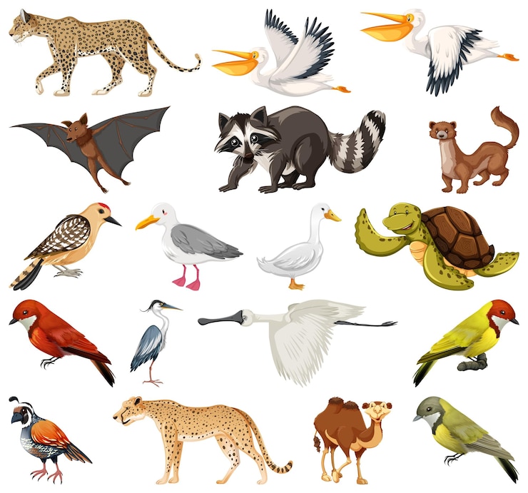 Vecteur gratuit différents types de collection d'animaux