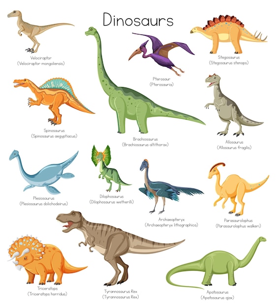 Vecteur gratuit différents types de dinosaures avec des noms