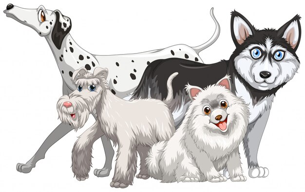 Différents types d&#39;illustration de chiens mignons
